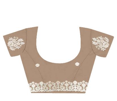 Beige Butterfly Net Saree
