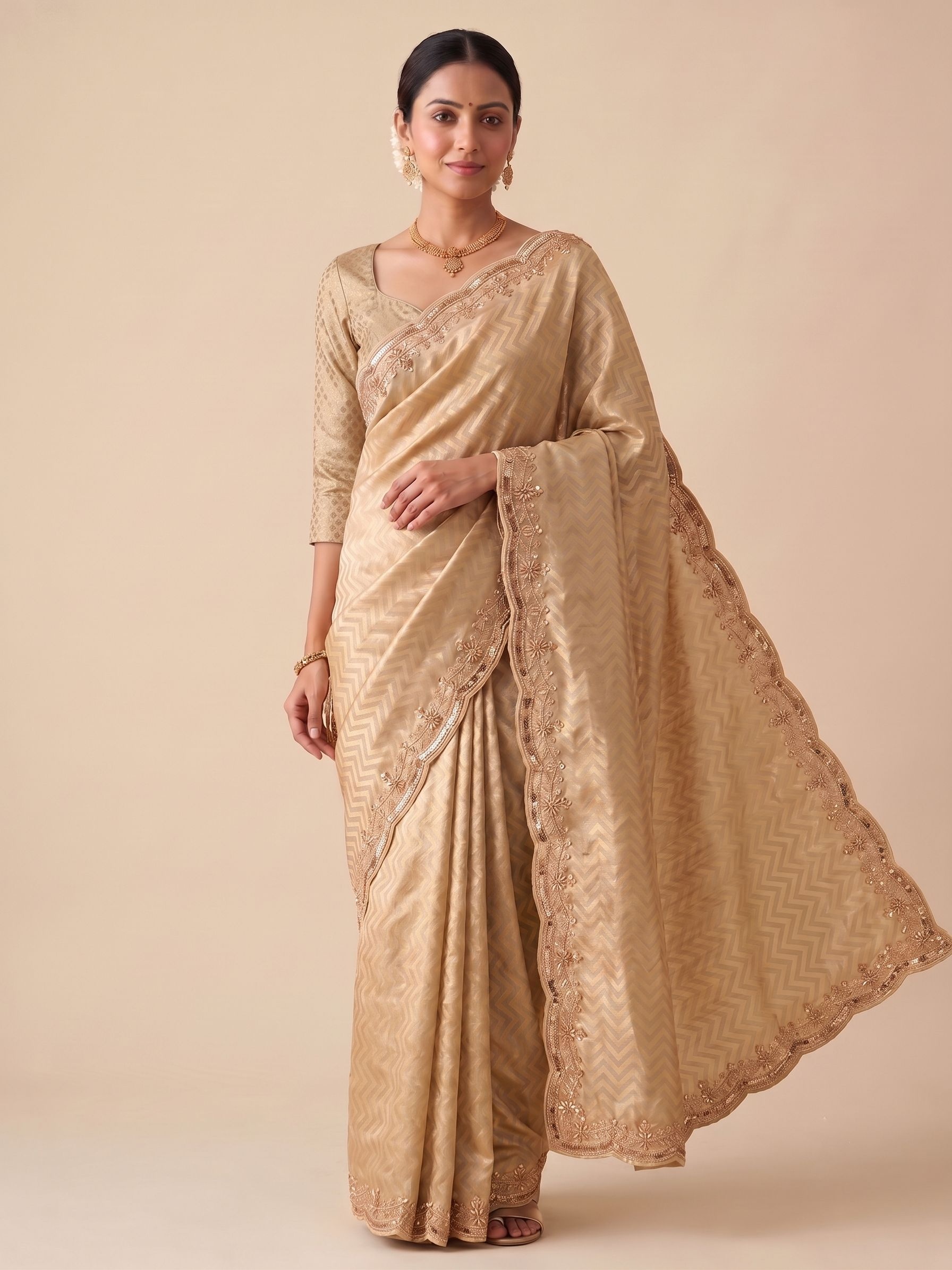Beige Chevron Hand Work Banarasi Silk Saree
