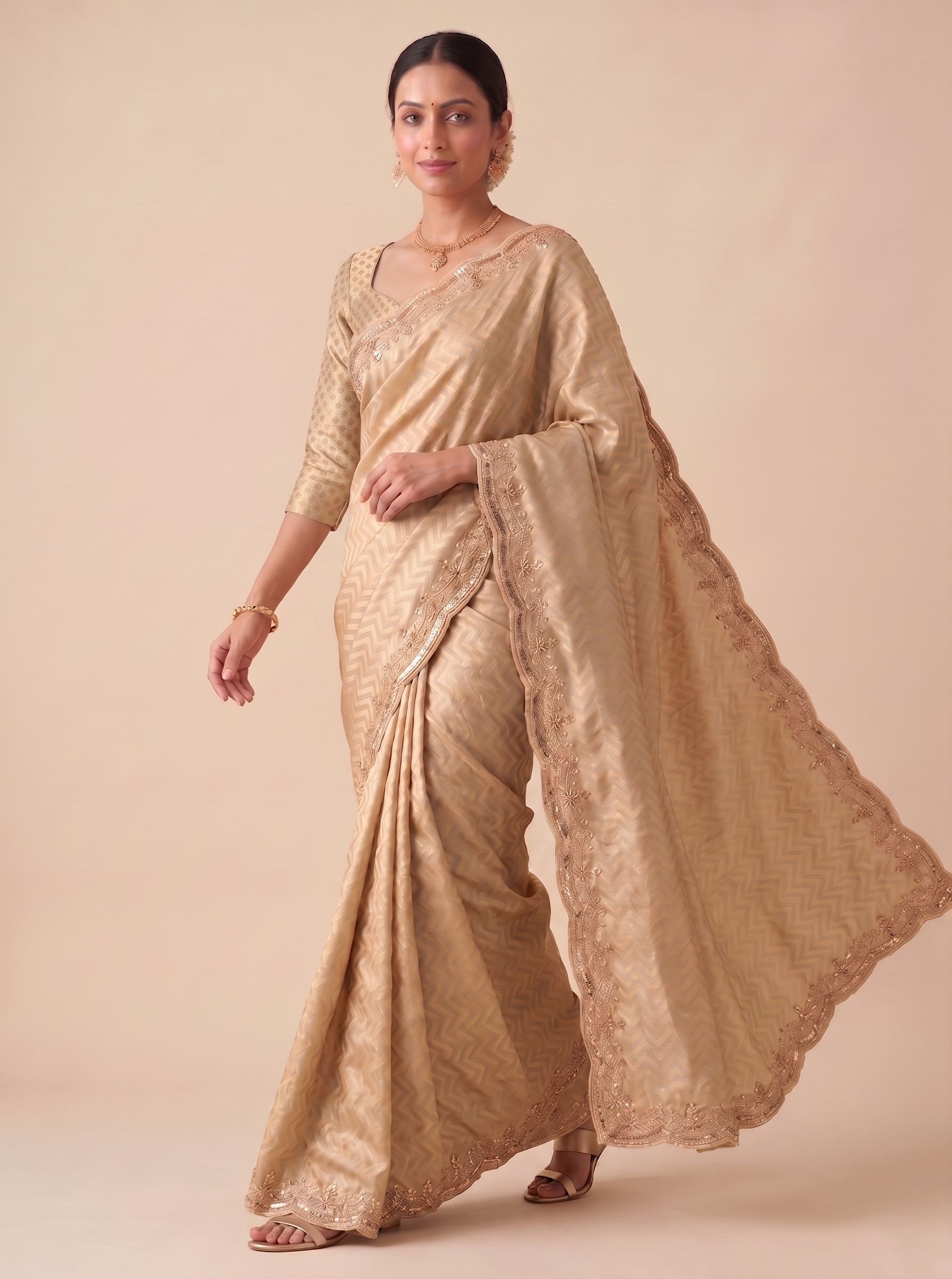 Beige Chevron Hand Work Banarasi Silk Saree