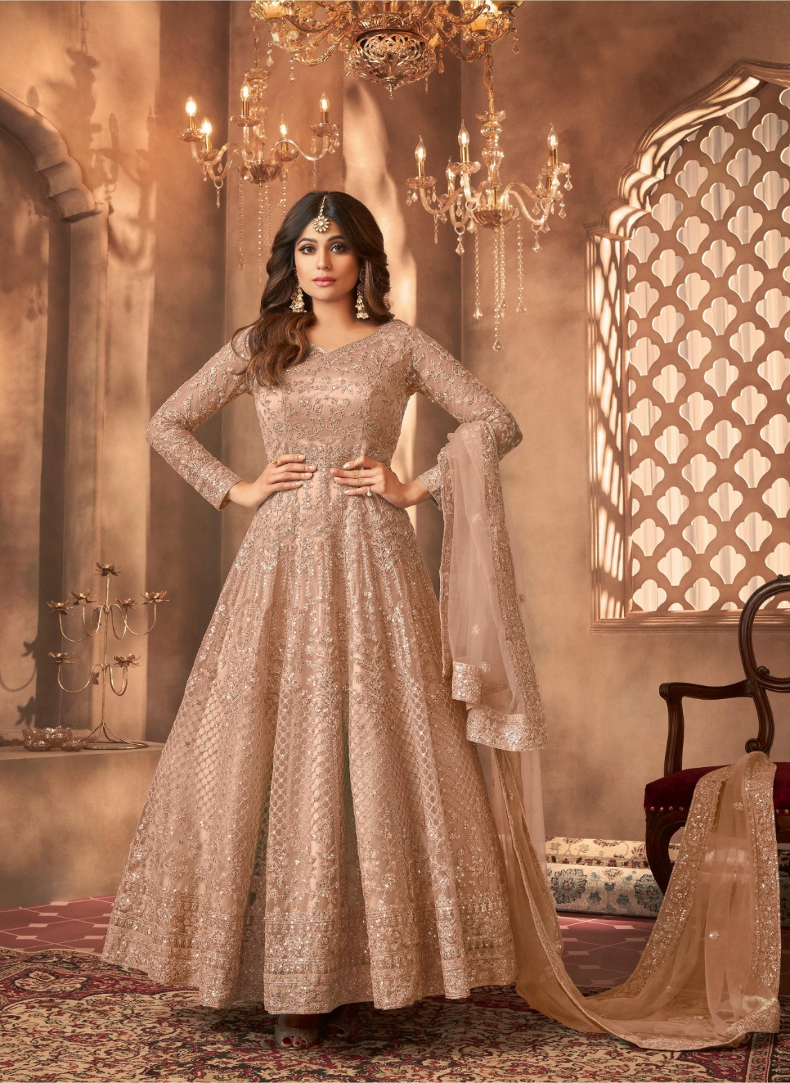 Beige Embroidered Net Anarkali Suit