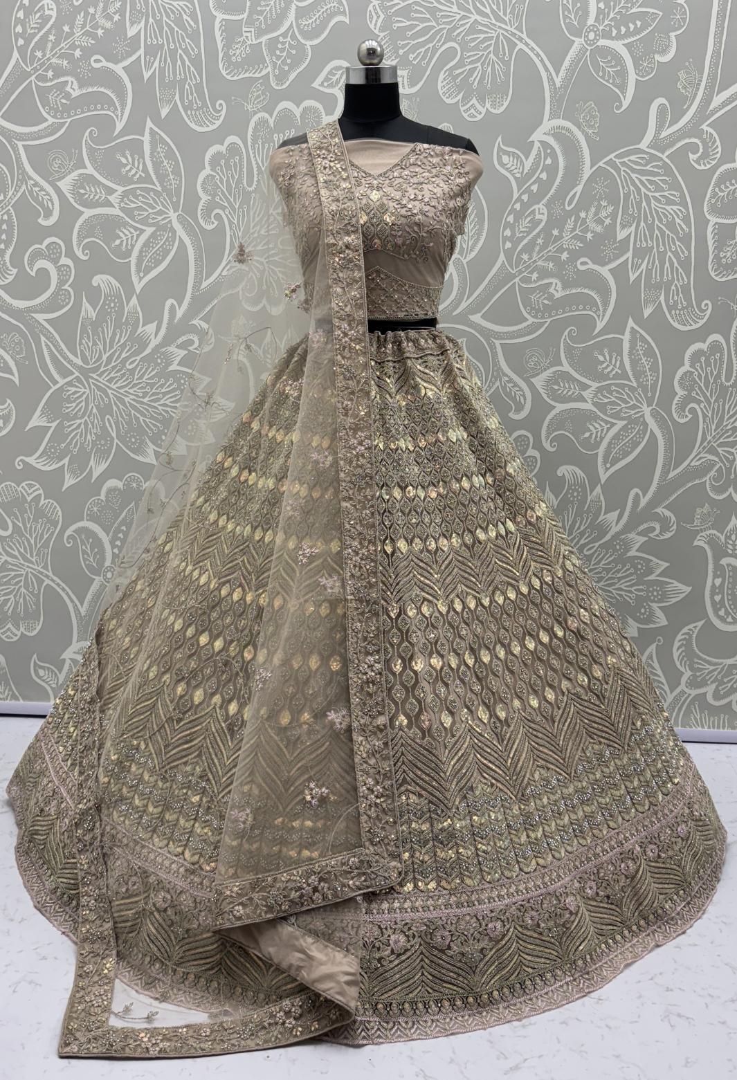 Beige Net Lehenga Choli