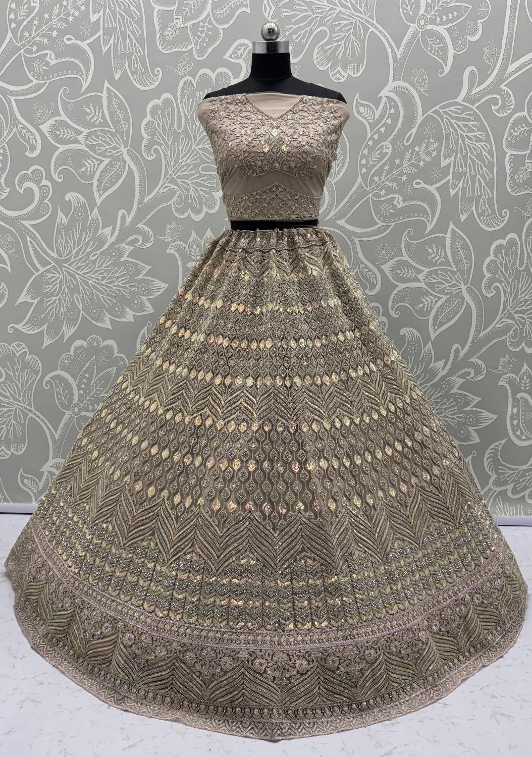 Beige Net Lehenga Choli — alternate view