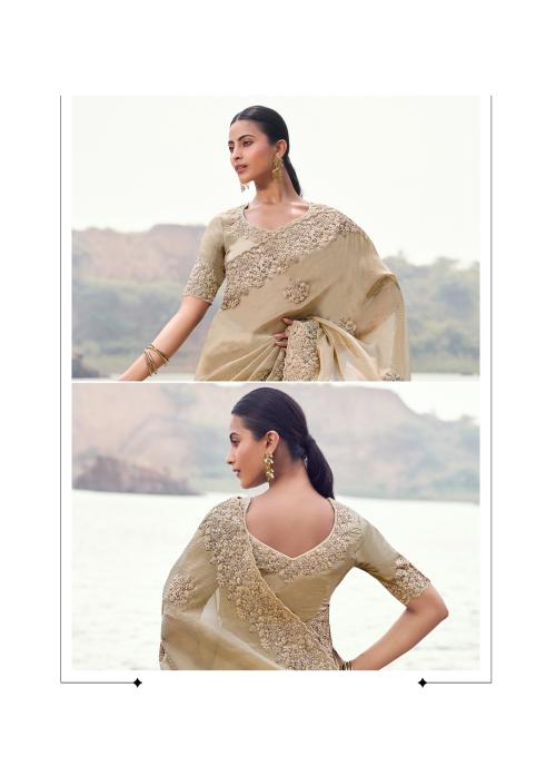 Beige Tissue Jacquard Silk Saree with Heavy Embroidery — alternate view