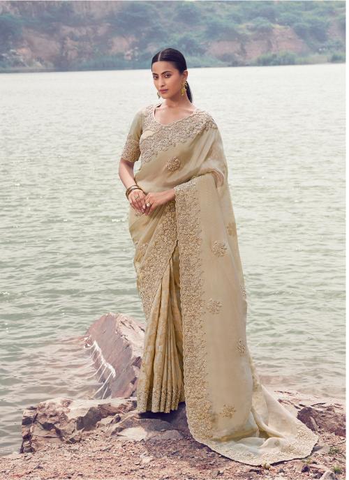 Beige Tissue Jacquard Silk Saree with Heavy Embroidery