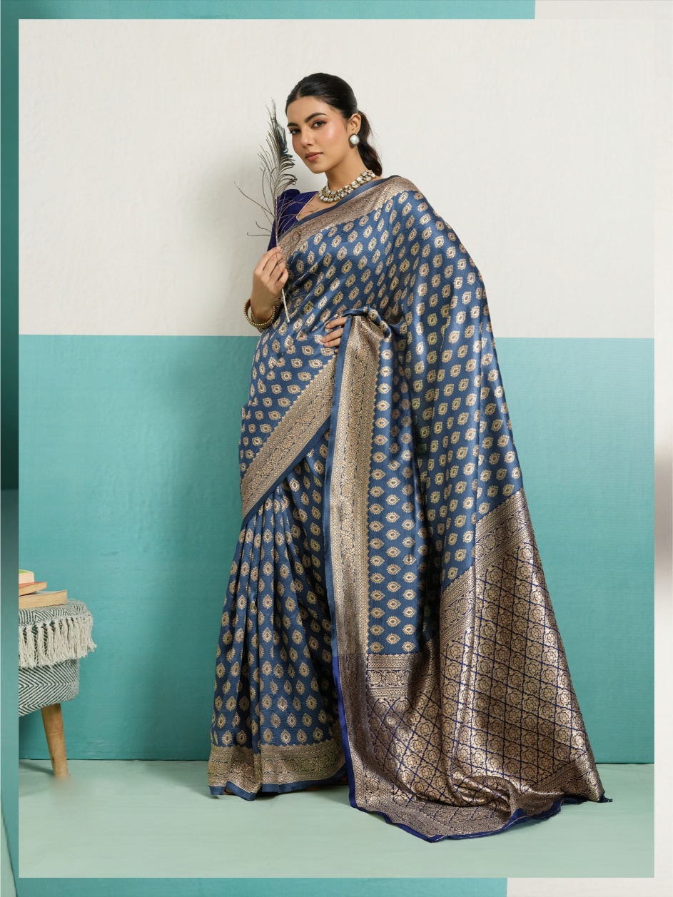 Blue Jaal Banarasi Silk Saree