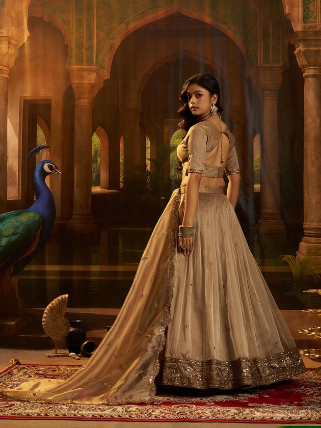 Brown Organza Embroidered Lehenga Choli — alternate view
