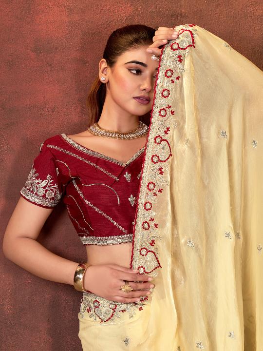 Chiku Embroidered Space Silk Saree