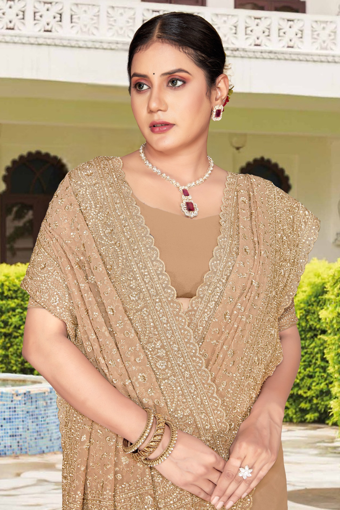 Chiku Gold Zari Embroidered Georgette Saree