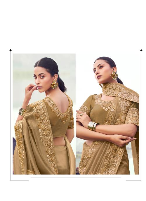 Dark Chiku Banarasi Silk Saree with Heavy Embroidery — alternate view