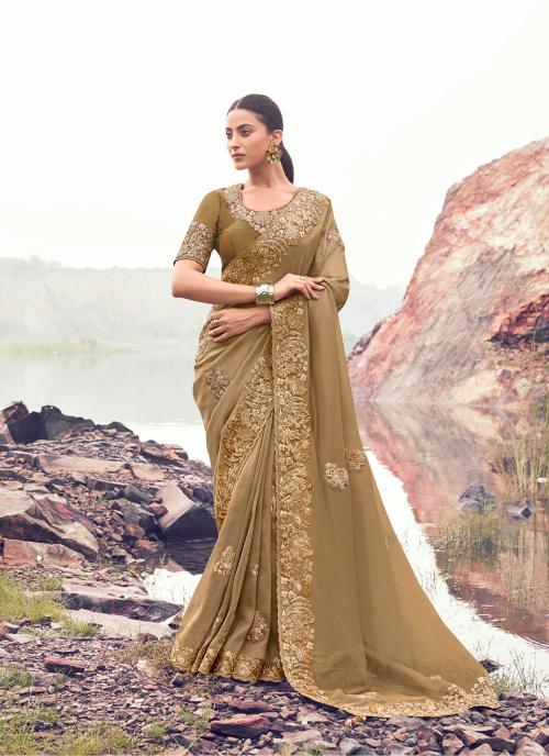 Dark Chiku Banarasi Silk Saree with Heavy Embroidery