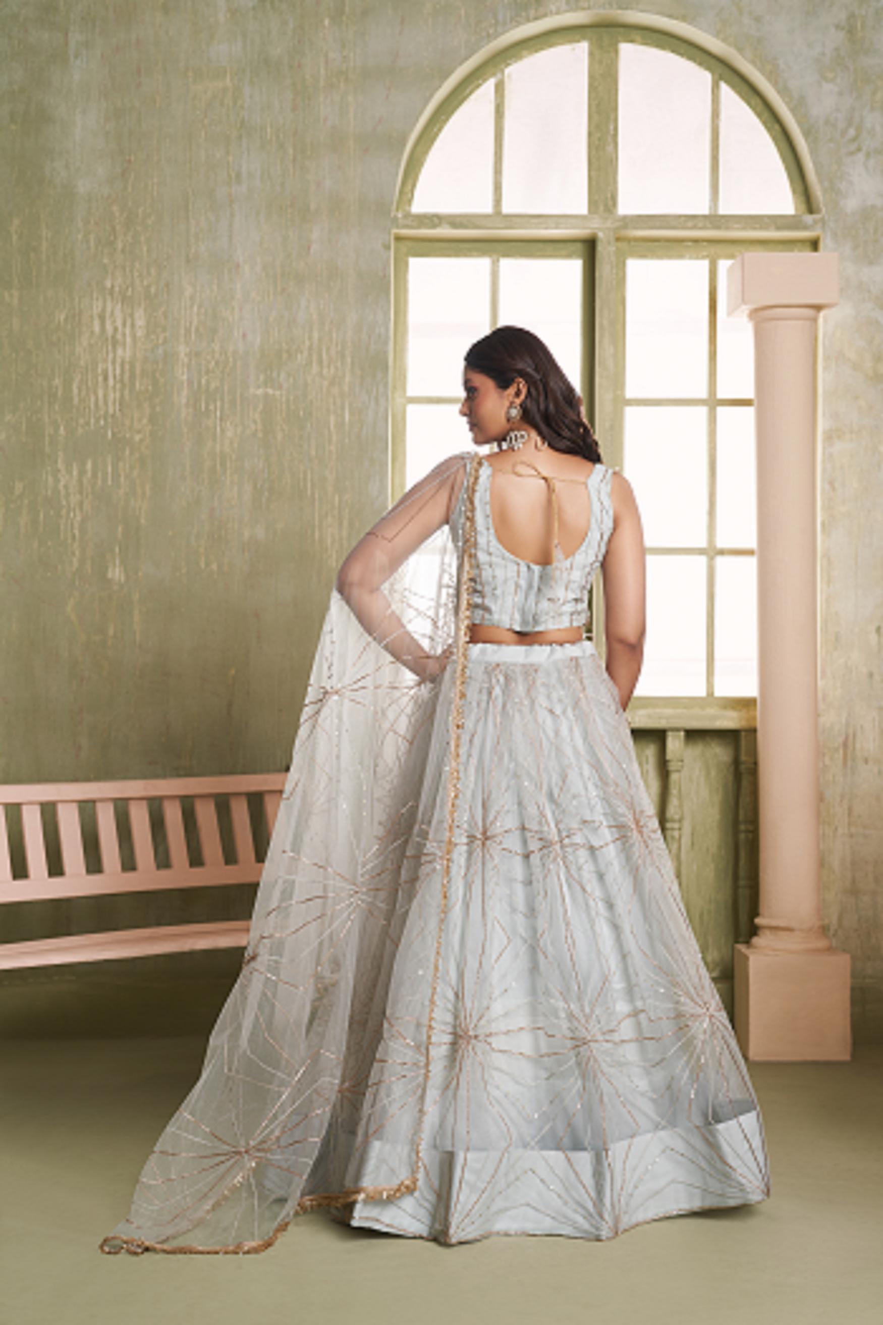 Light Grey Butterfly Net Lehenga Choli