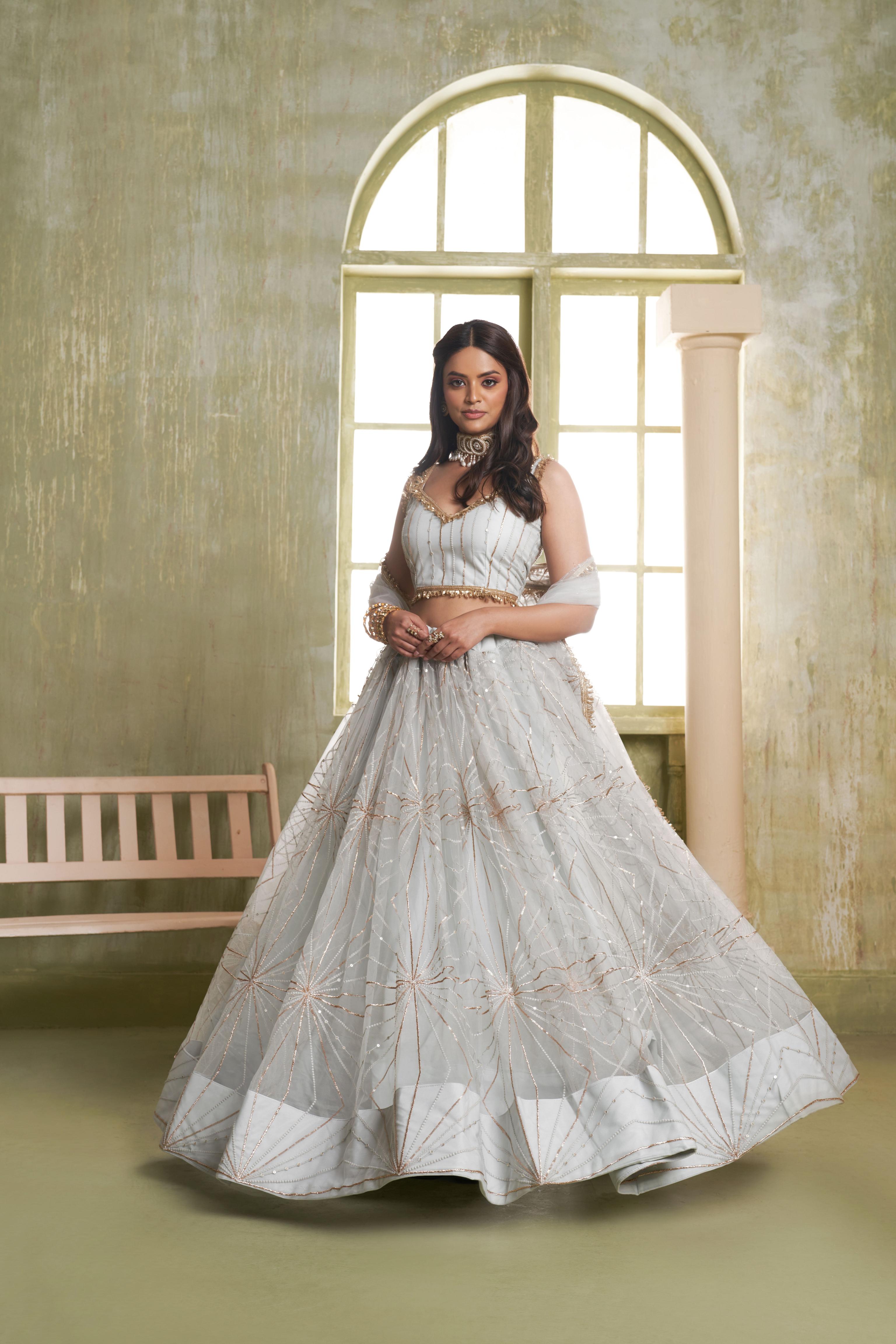 Light Grey Butterfly Net Umbrella Lehenga