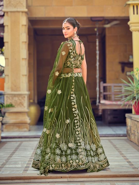 Mehendi Net Lehenga Choli — alternate view