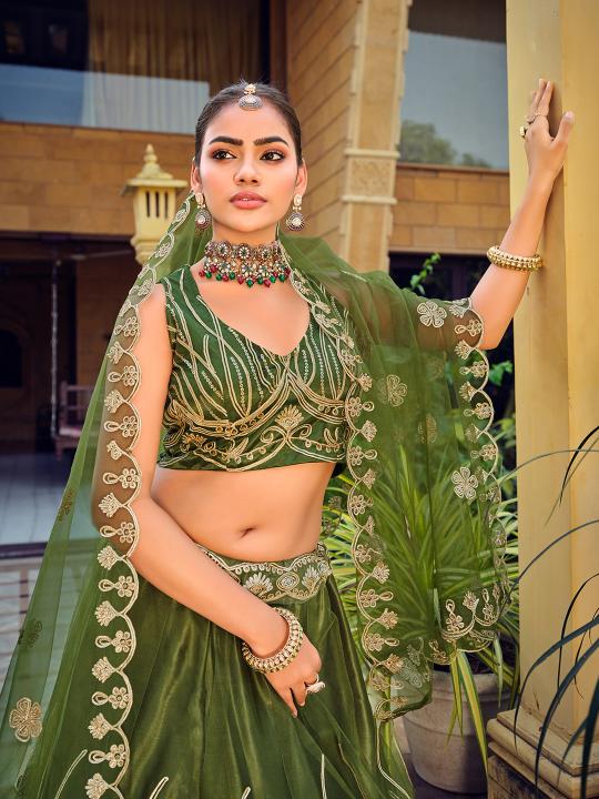 Mehendi Net Lehenga Choli