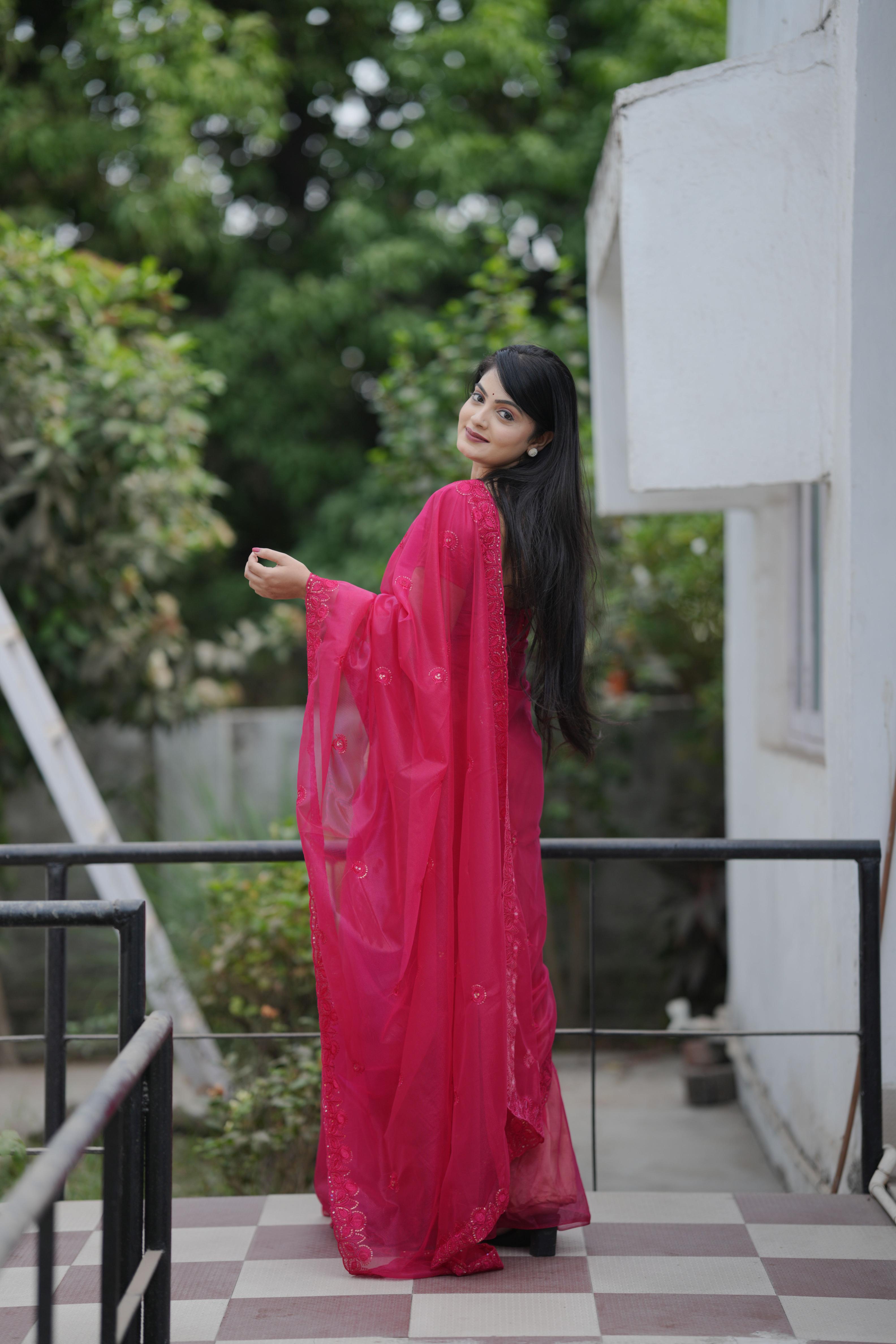 Pink Twill Net Saree — alternate view