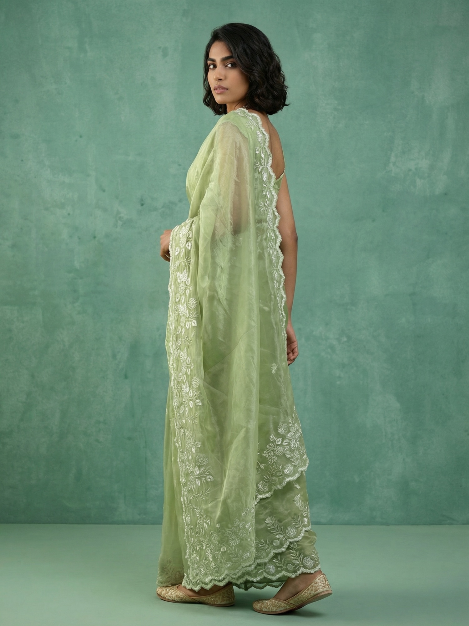 Pista Embroidery Chanda Silk Saree — alternate view