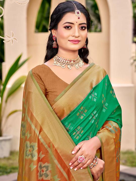 Rama Pochampalli Silk Saree — alternate view