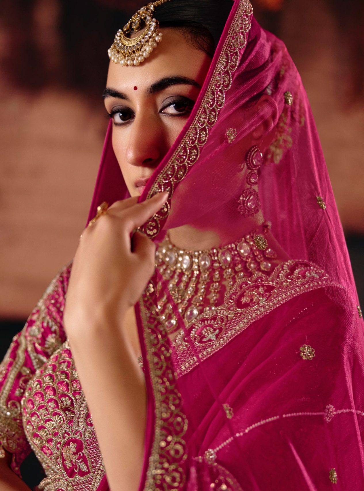 Rani Pink Heritage Silk Panelled Lehenga Choli — alternate view