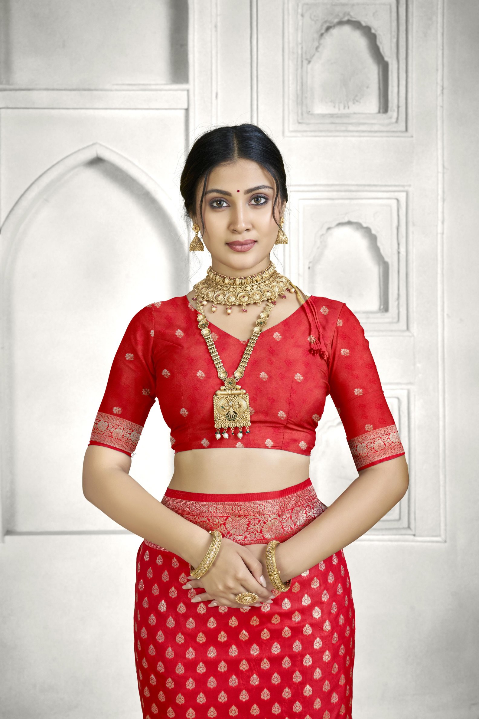 Red Banarasi Silk Saree with Floral Jaal Pallu