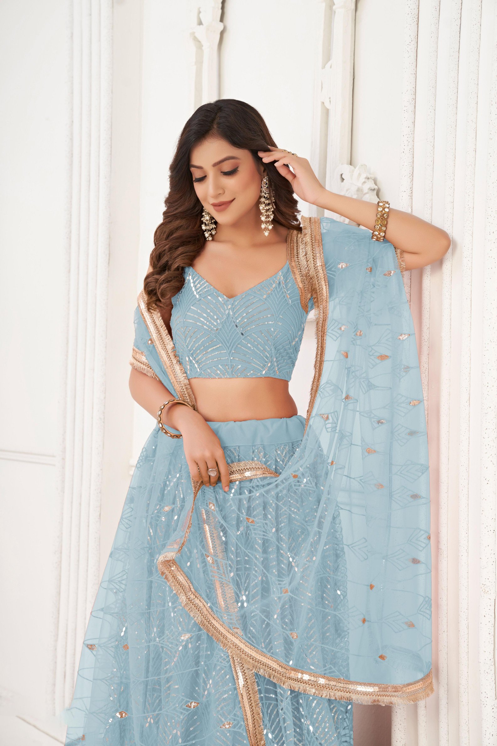 Sky Blue Sequins Embroidered Butterfly Net Lehenga Choli