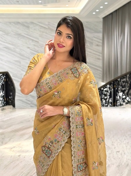Yellow Cutwork Zarkan Embroidered Space Silk Saree
