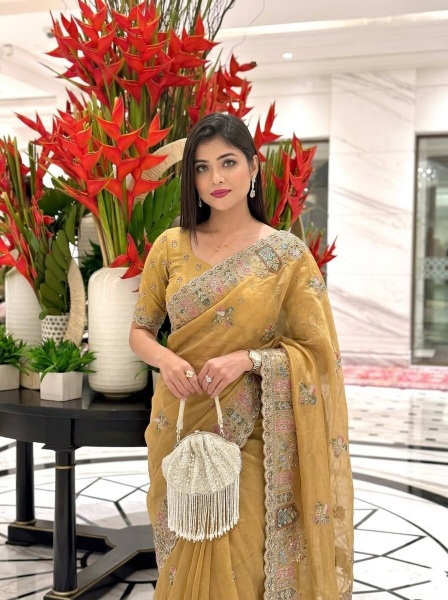 Yellow Cutwork Zarkan Embroidered Space Silk Saree